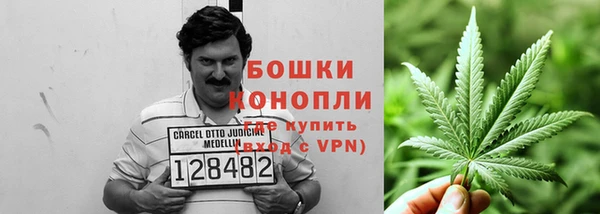 трава Беломорск