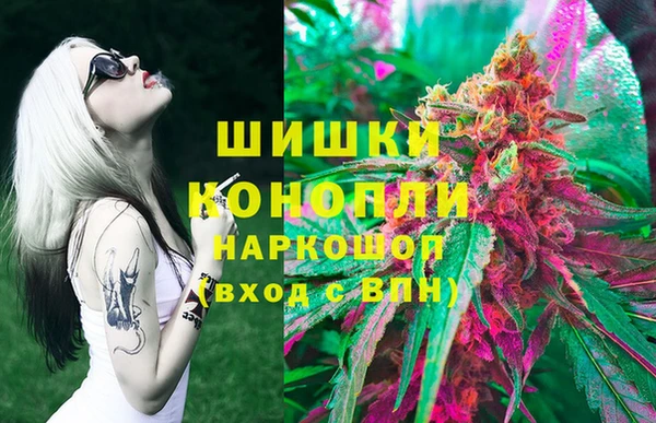 МДПВ Снежинск